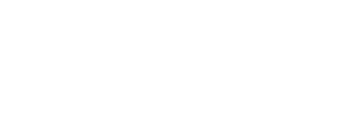 VEMAG_Logo_Pantone342C
